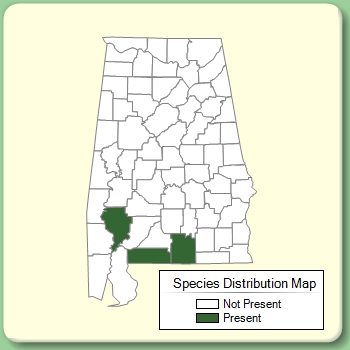 Species Distribution Map