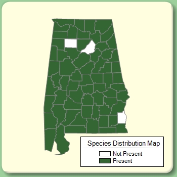 Species Distribution Map