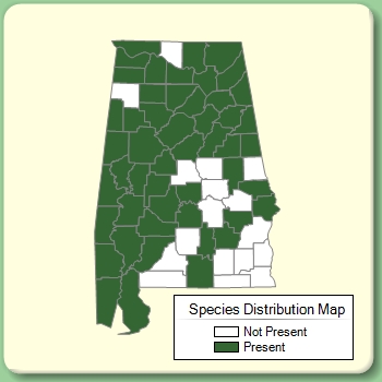 Species Distribution Map