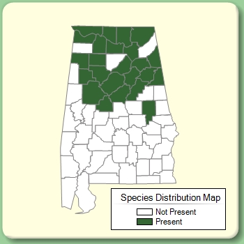 Species Distribution Map