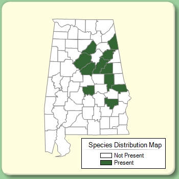 Species Distribution Map