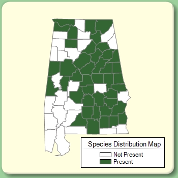 Species Distribution Map