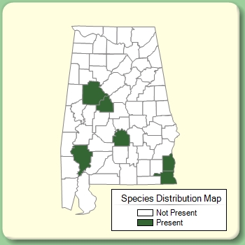 Species Distribution Map