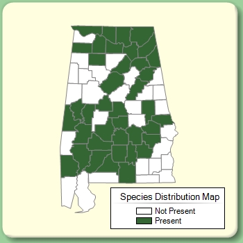 Species Distribution Map