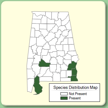 Species Distribution Map