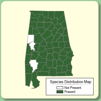 Species Distribution Map