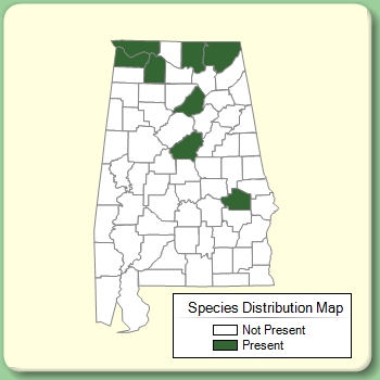 Species Distribution Map