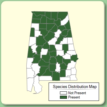 Species Distribution Map