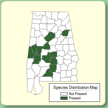 Species Distribution Map