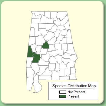 Species Distribution Map