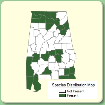 Species Distribution Map