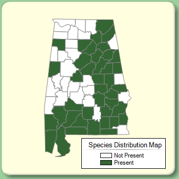 Species Distribution Map