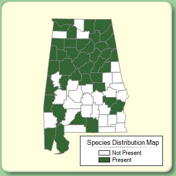 Species Distribution Map