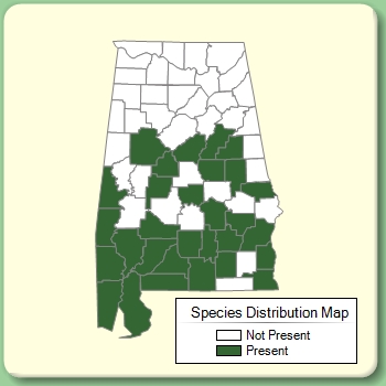 Species Distribution Map