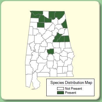 Species Distribution Map