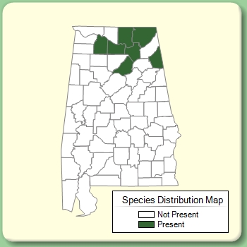 Species Distribution Map