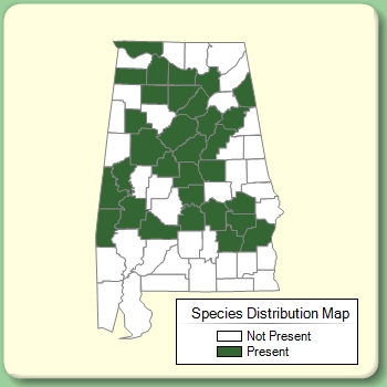 Species Distribution Map