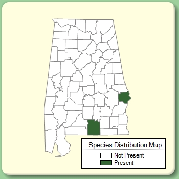 Species Distribution Map