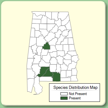 Species Distribution Map