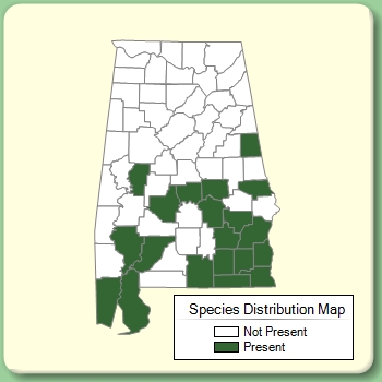 Species Distribution Map