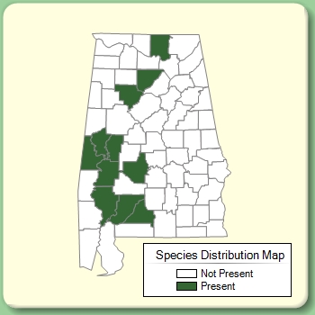 Species Distribution Map