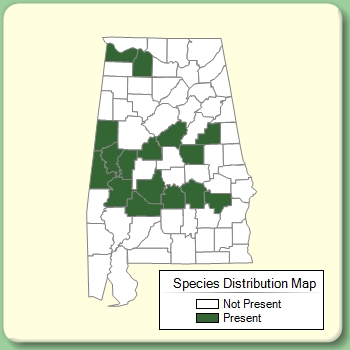 Species Distribution Map