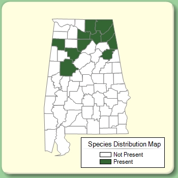 Species Distribution Map