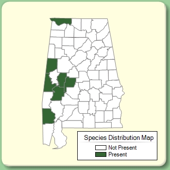 Species Distribution Map