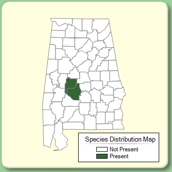 Species Distribution Map