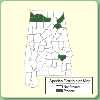 Species Distribution Map