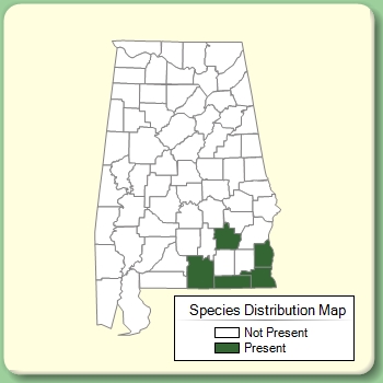 Species Distribution Map