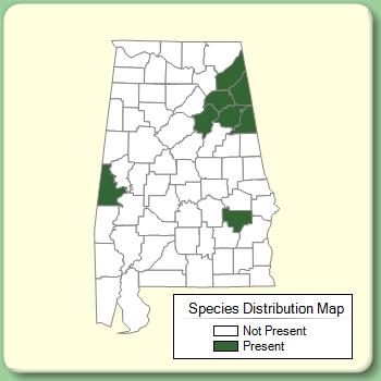 Species Distribution Map