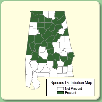 Species Distribution Map