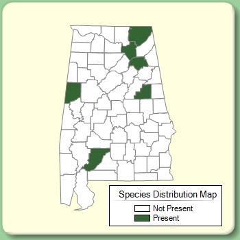 Species Distribution Map