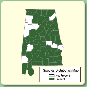 Species Distribution Map