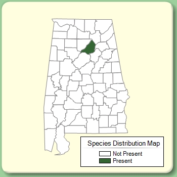 Species Distribution Map