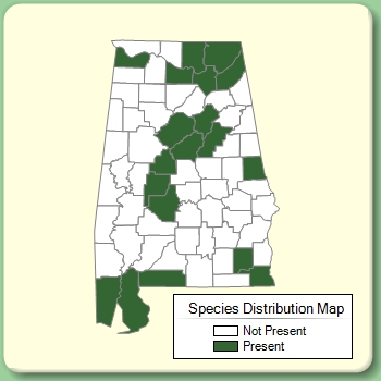 Species Distribution Map