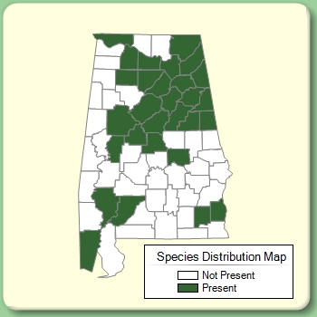 Species Distribution Map