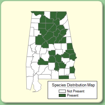 Species Distribution Map