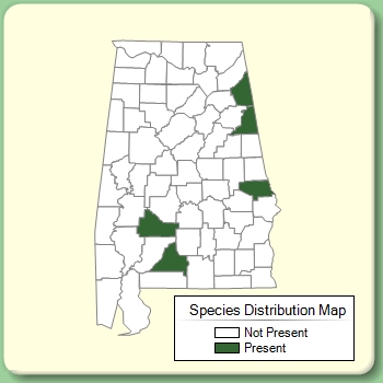 Species Distribution Map