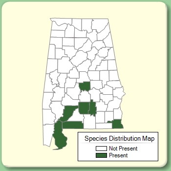 Species Distribution Map