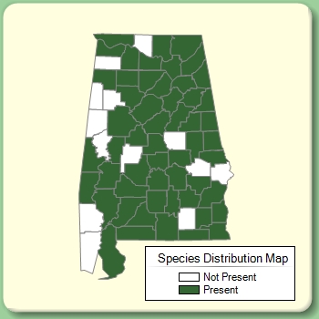 Species Distribution Map