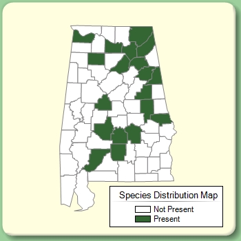 Species Distribution Map