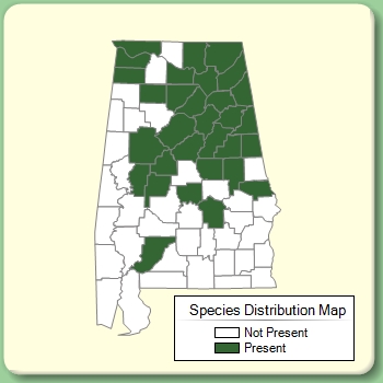 Species Distribution Map