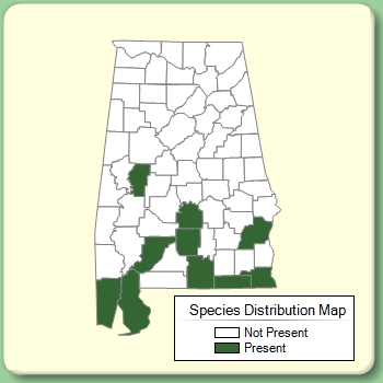 Species Distribution Map