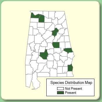 Species Distribution Map