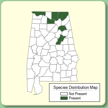 Species Distribution Map