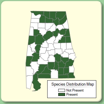 Species Distribution Map