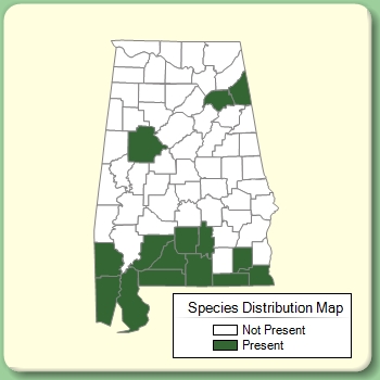 Species Distribution Map