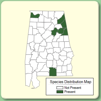 Species Distribution Map